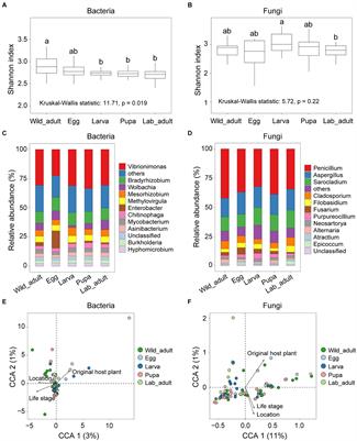 Mechanisms of bacterial and fungal community assembly in leaf miners during transition from natural to laboratory environments